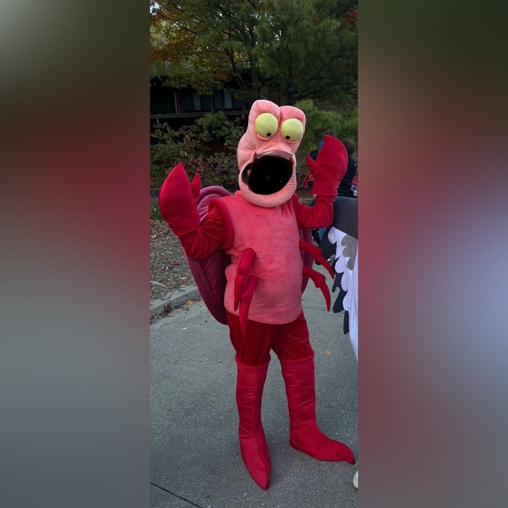 ❌SOLD❌The Little Mermaid Sebastian the Crab Costume